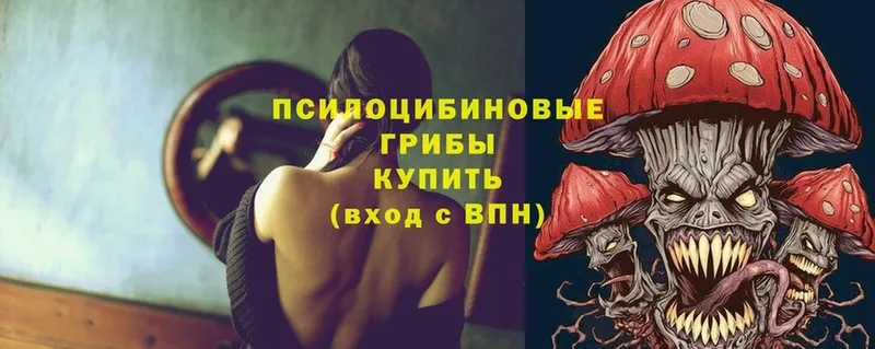 Галлюциногенные грибы Cubensis  где купить наркоту  Апшеронск 